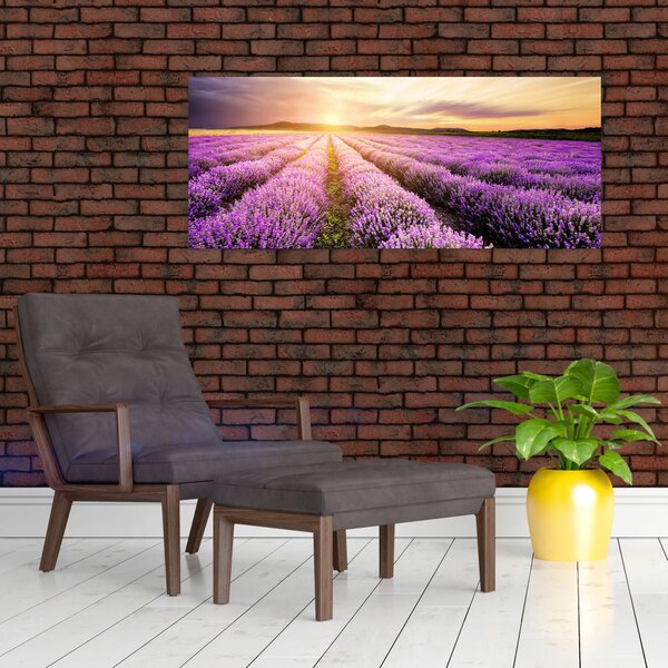 Slika - Izlazak sunca u polju lavande (120x50 cm)