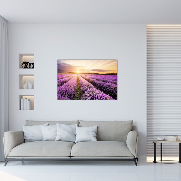 Slika - Izlazak sunca u polju lavande (90x60 cm)