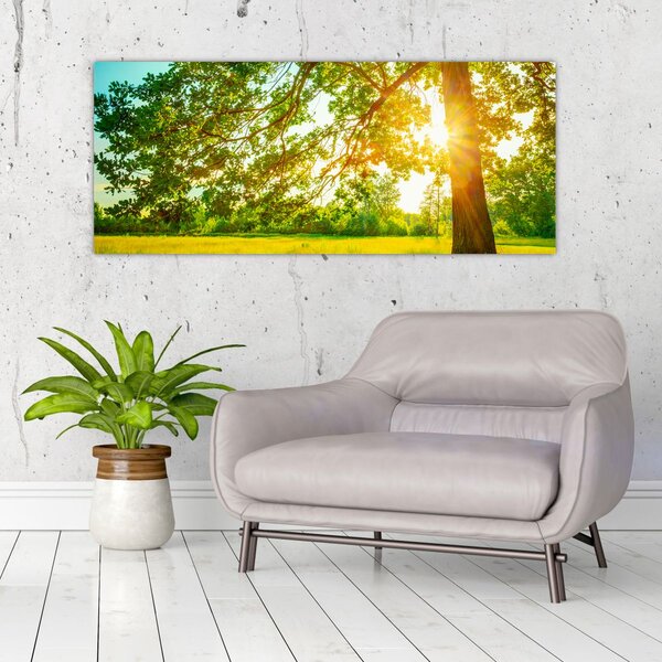Slika - Sunčana šuma (120x50 cm)