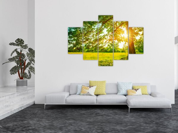 Slika - Sunčana šuma (150x105 cm)