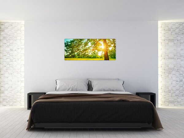 Slika - Sunčana šuma (120x50 cm)