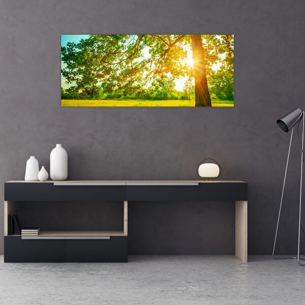 Slika - Sunčana šuma (120x50 cm)