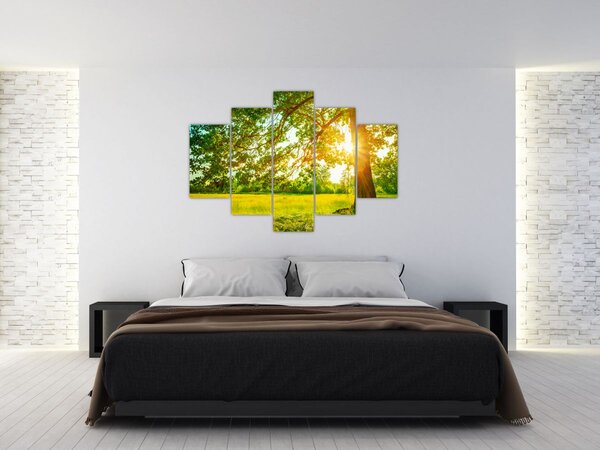 Slika - Sunčana šuma (150x105 cm)