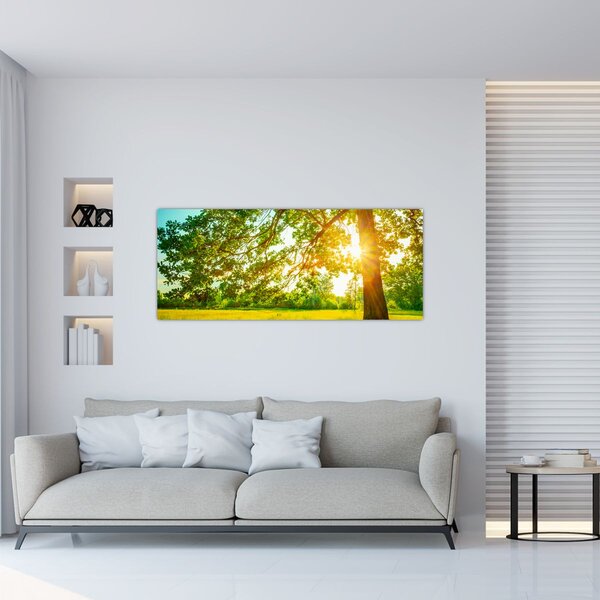 Slika - Sunčana šuma (120x50 cm)