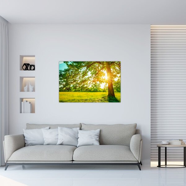 Slika - Sunčana šuma (90x60 cm)