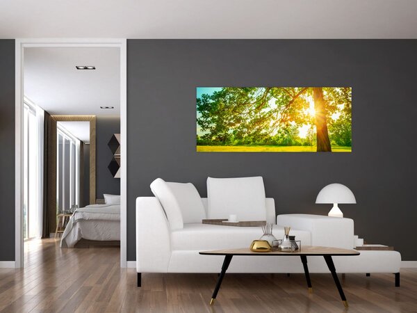 Slika - Sunčana šuma (120x50 cm)