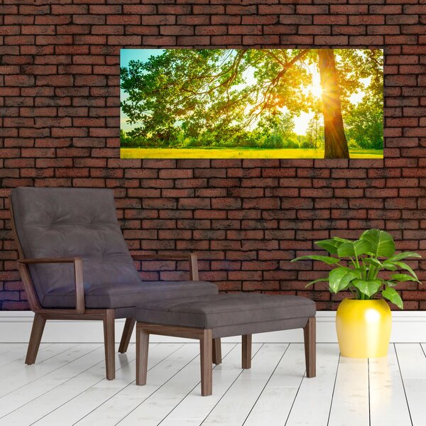 Slika - Sunčana šuma (120x50 cm)