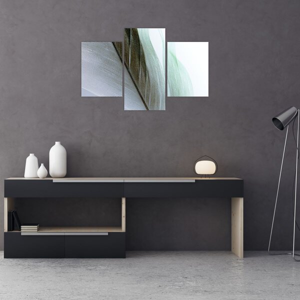 Slika - Perje, makro (90x60 cm)