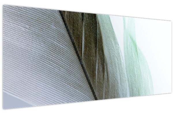 Slika - Perje, makro (120x50 cm)