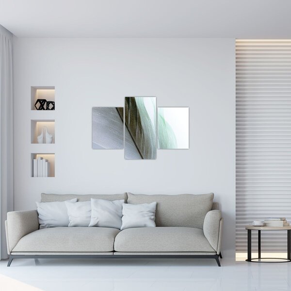 Slika - Perje, makro (90x60 cm)