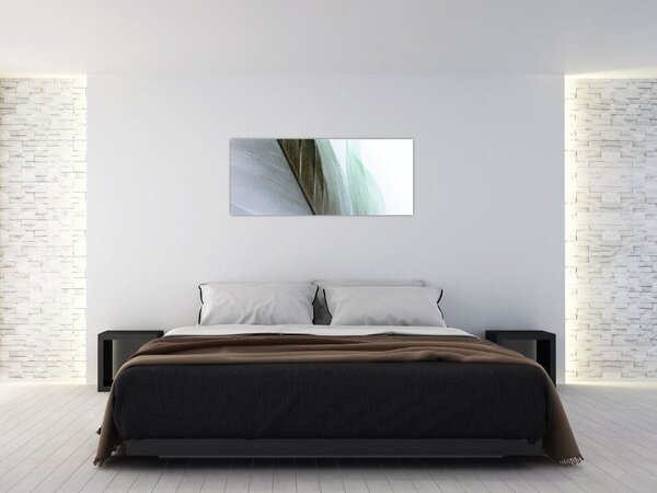 Slika - Perje, makro (120x50 cm)