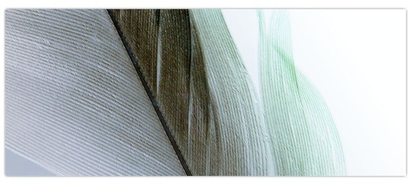 Slika - Perje, makro (120x50 cm)