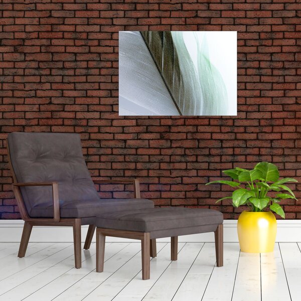 Slika - Perje, makro (70x50 cm)