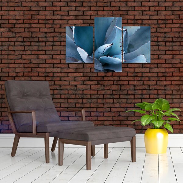 Slika - Agava (90x60 cm)