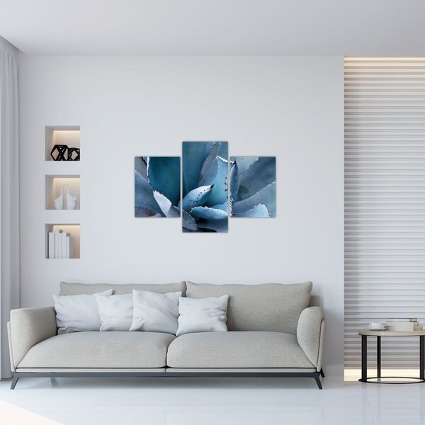 Slika - Agava (90x60 cm)