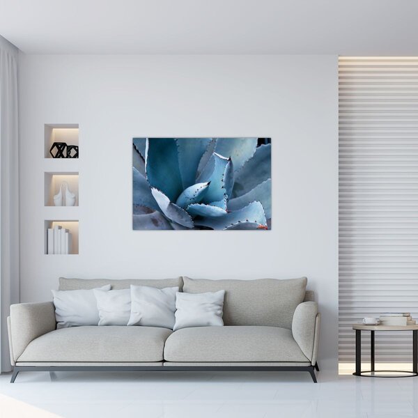 Slika - Agava (90x60 cm)