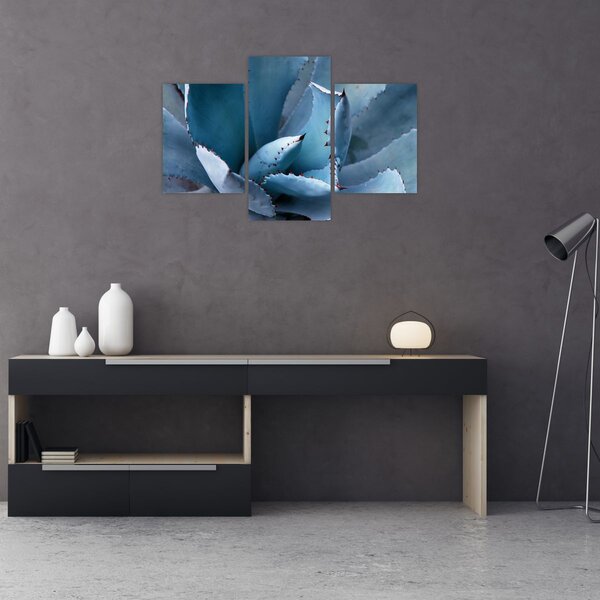 Slika - Agava (90x60 cm)