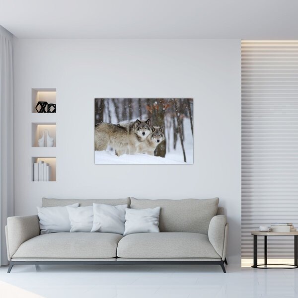 Slika - Vukovi zimi (90x60 cm)