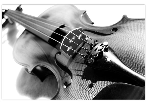 Slika - Violina (90x60 cm)