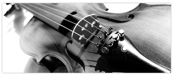 Slika - Violina (120x50 cm)