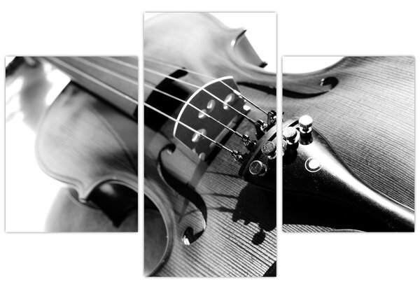 Slika - Violina (90x60 cm)