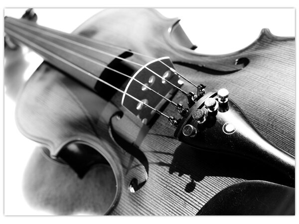 Slika - Violina (70x50 cm)