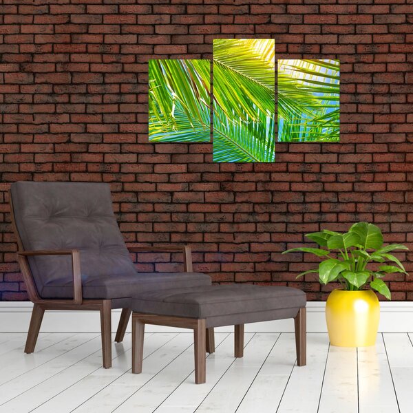 Slika - Palmino lišće (90x60 cm)