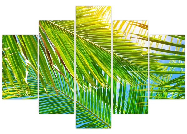 Slika - Palmino lišće (150x105 cm)