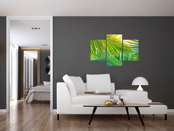 Slika - Palmino lišće (90x60 cm)