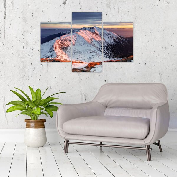 Slika - Zimska planinska panorama II. (90x60 cm)