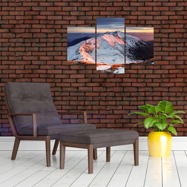 Slika - Zimska planinska panorama II. (90x60 cm)