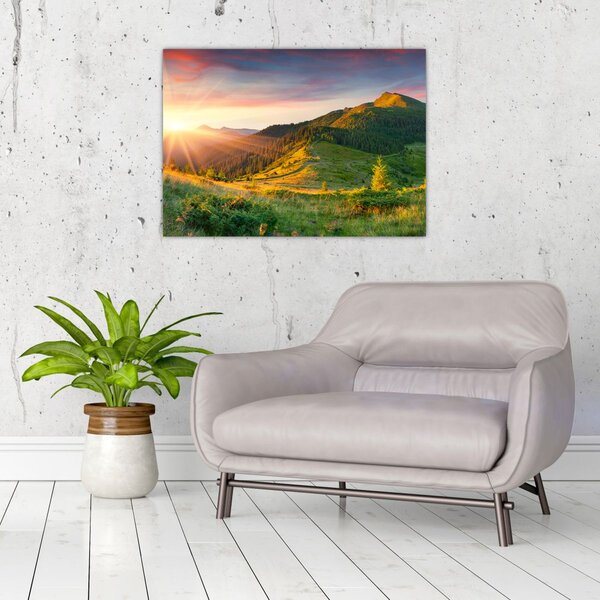 Slika - Ljetni krajolik (70x50 cm)