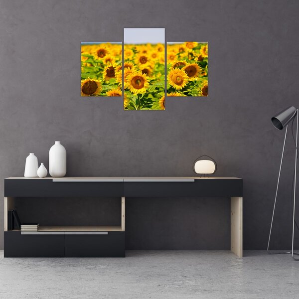 Slika - Suncokreti (90x60 cm)