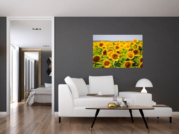 Slika - Suncokreti (90x60 cm)