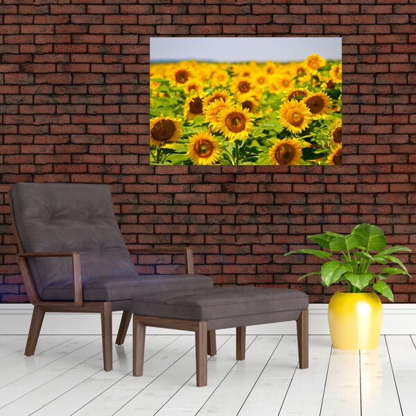 Slika - Suncokreti (90x60 cm)
