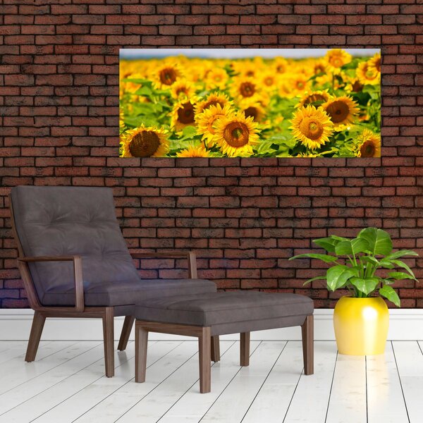 Slika - Suncokreti (120x50 cm)