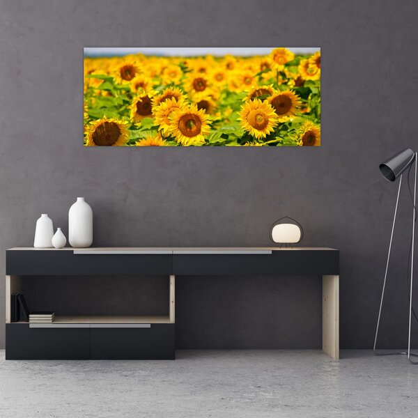 Slika - Suncokreti (120x50 cm)