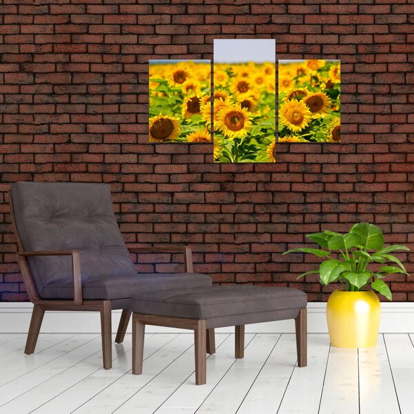 Slika - Suncokreti (90x60 cm)