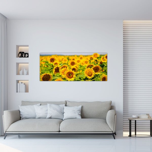 Slika - Suncokreti (120x50 cm)