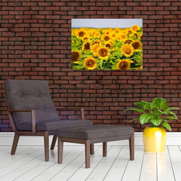 Slika - Suncokreti (70x50 cm)