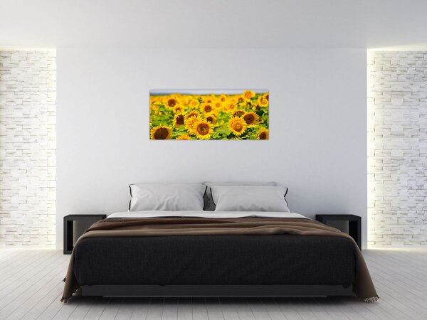Slika - Suncokreti (120x50 cm)