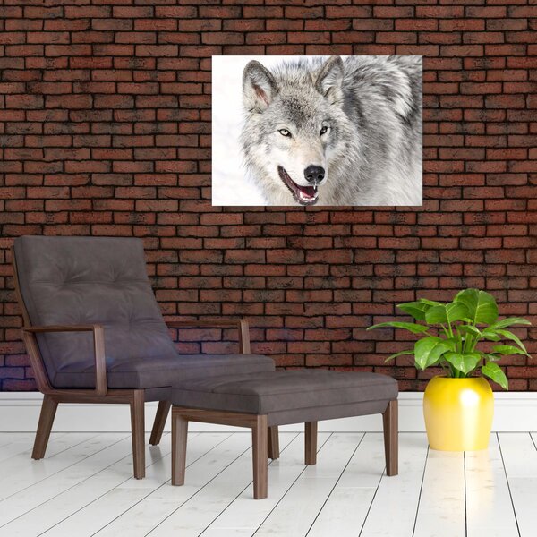 Slika - Vuk u prirodi (70x50 cm)
