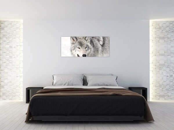 Slika - Vuk u prirodi (120x50 cm)