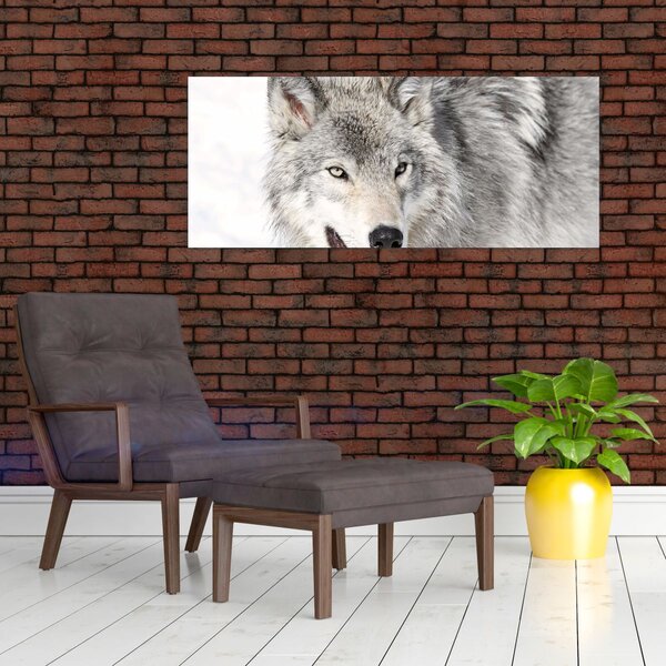 Slika - Vuk u prirodi (120x50 cm)
