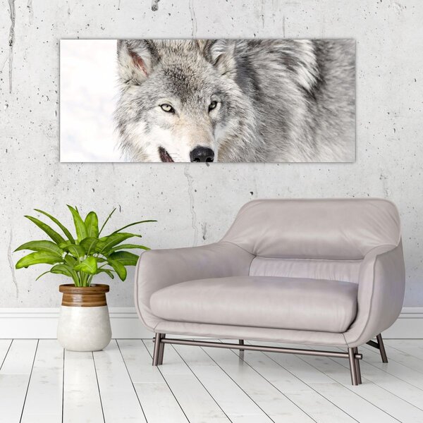 Slika - Vuk u prirodi (120x50 cm)