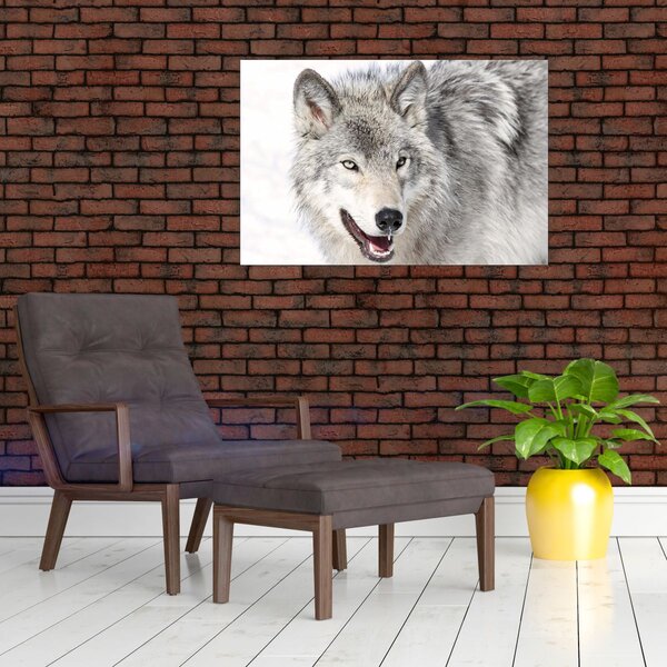 Slika - Vuk u prirodi (90x60 cm)