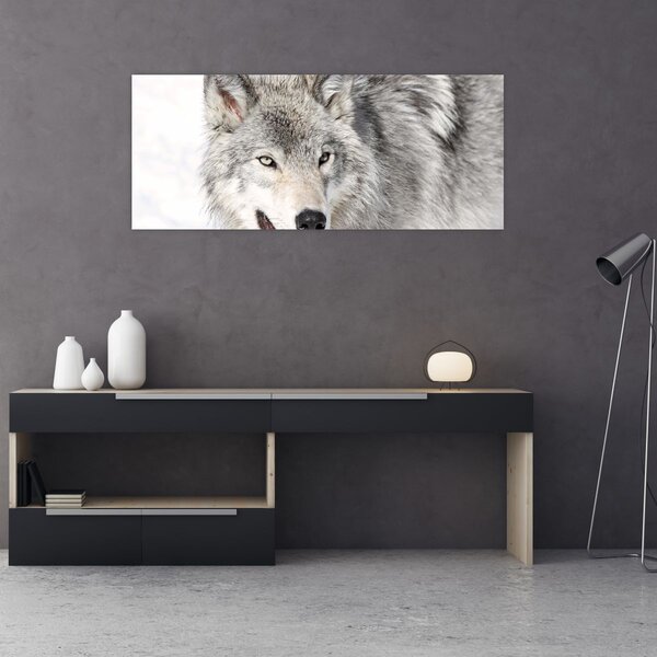 Slika - Vuk u prirodi (120x50 cm)