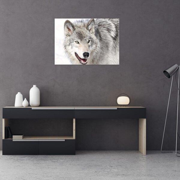 Slika - Vuk u prirodi (70x50 cm)