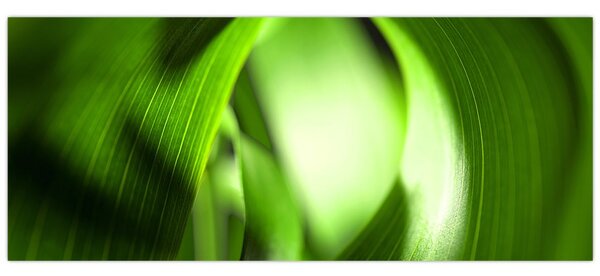 Slika - Vlat trave (120x50 cm)