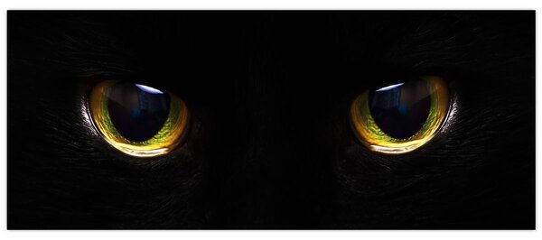 Slika - mačje oči (120x50 cm)